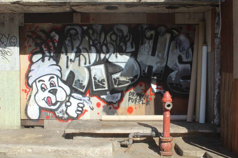 Bild