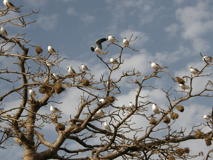 Bild
