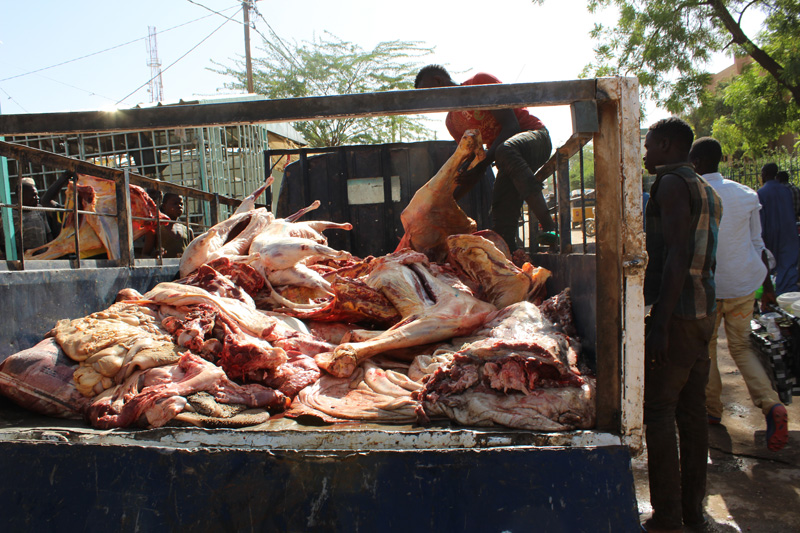 Bild